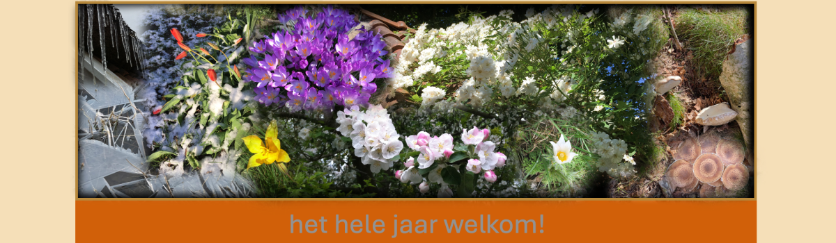 contact banner met tekst