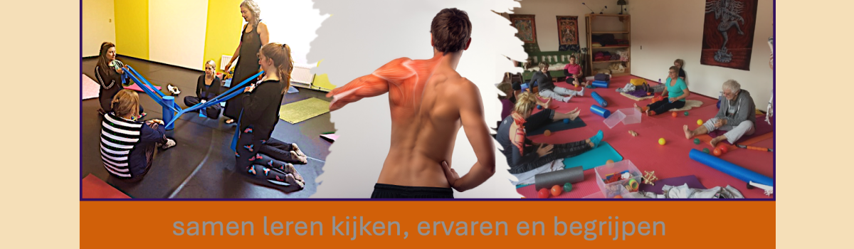 leren kijken banner met tekst (1)